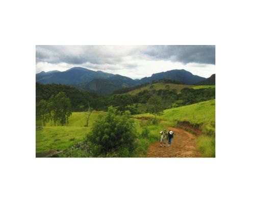 Hills